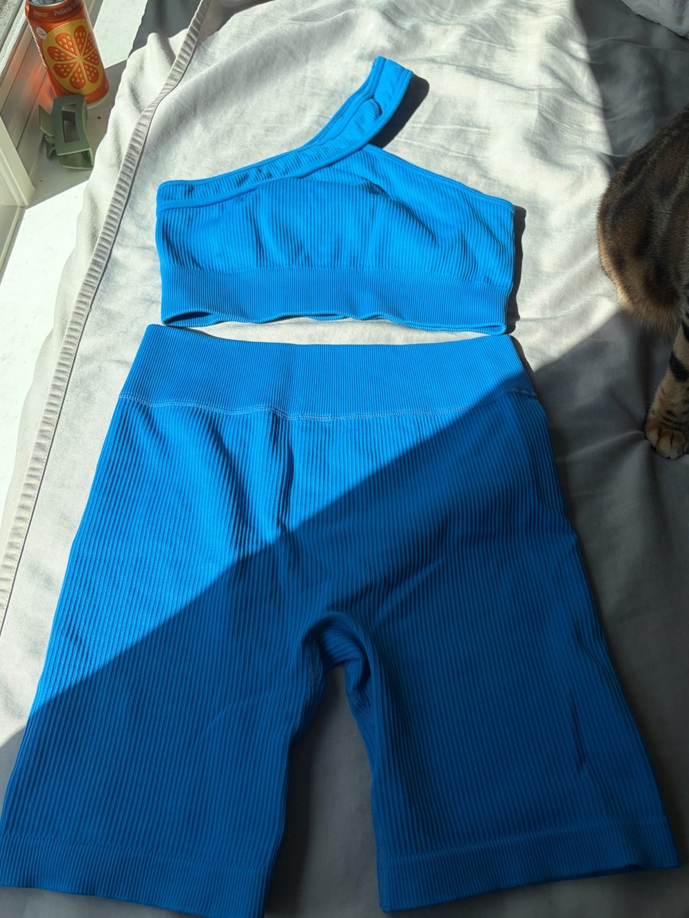 Blue Ribbed High-Waist Athletic Shorts - Women's Biker Style